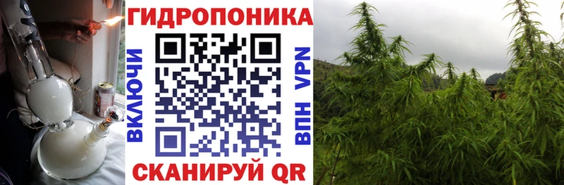 Наркошоп купить Кокаин  NBOMe  СОЛЬ  Псилоцибиновые грибы  МАРИХУАНА  Меф  Балаково