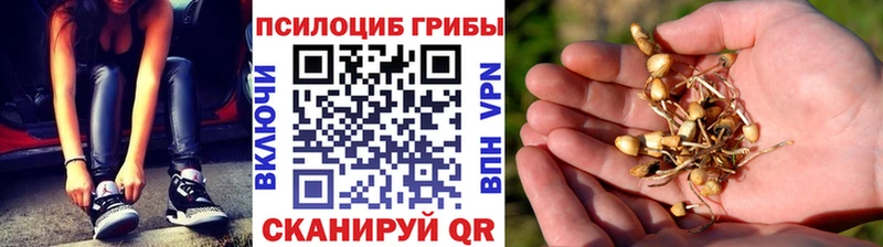 Купить закладки  Балаково  Галлюциногенные грибы мухоморы 